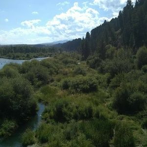 Meet your Posher, Catherine